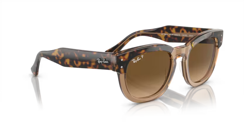 Mega Hawkeye Havana on transparent brown - Polorized