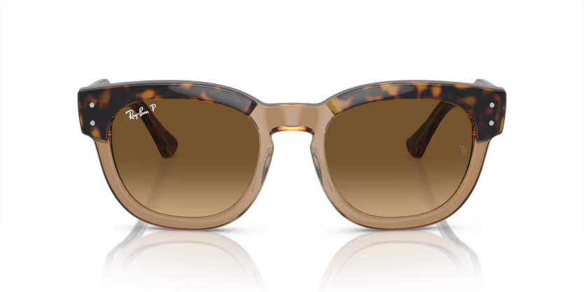 Mega Hawkeye Havana on transparent brown - Polorized