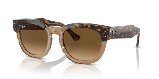 Mega Hawkeye Havana on transparent brown - Polorized