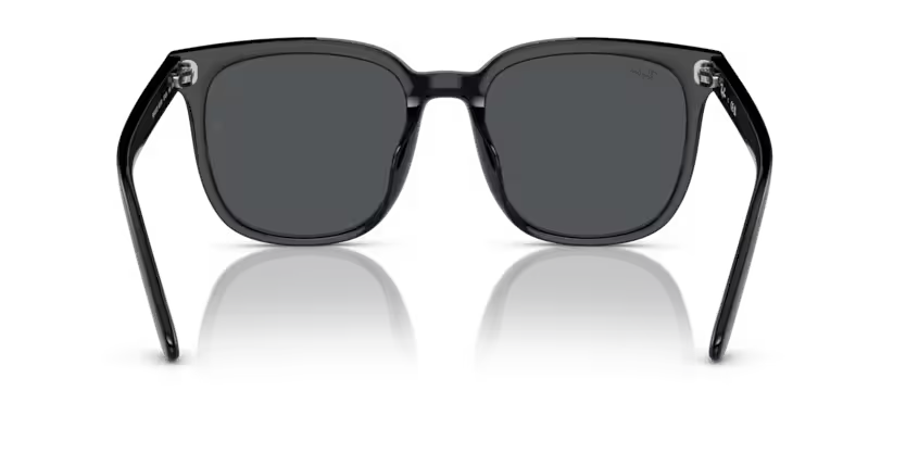 Rayban Black Oversized sunglasses