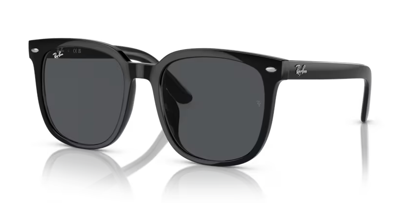 Rayban Black Oversized sunglasses