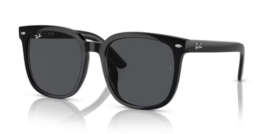 Rayban Black Oversized sunglasses