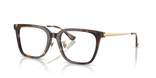 Rayban 5442D Havana/Tortoiseshell
