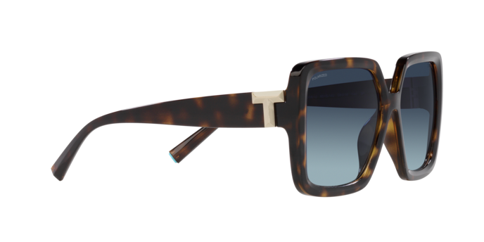 Tiffany & Co Oversized Tortoiseshell Sunglasses