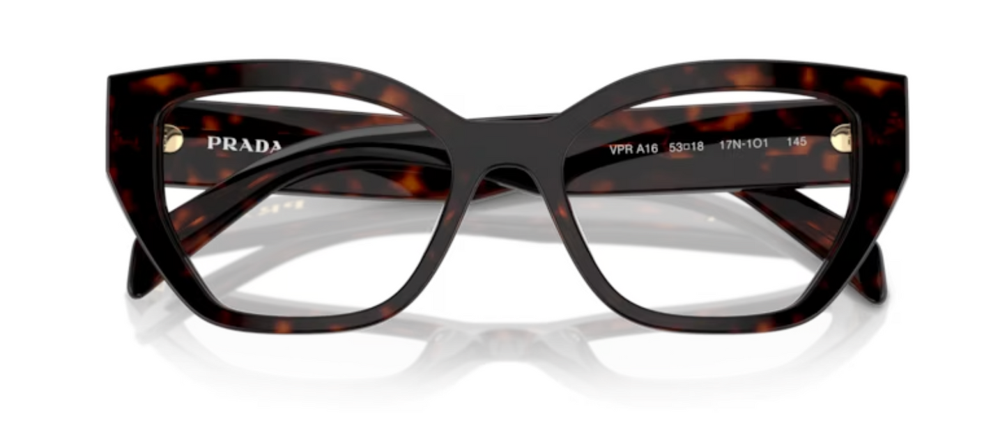 Prada Eyewear PR A16V Root tortoise