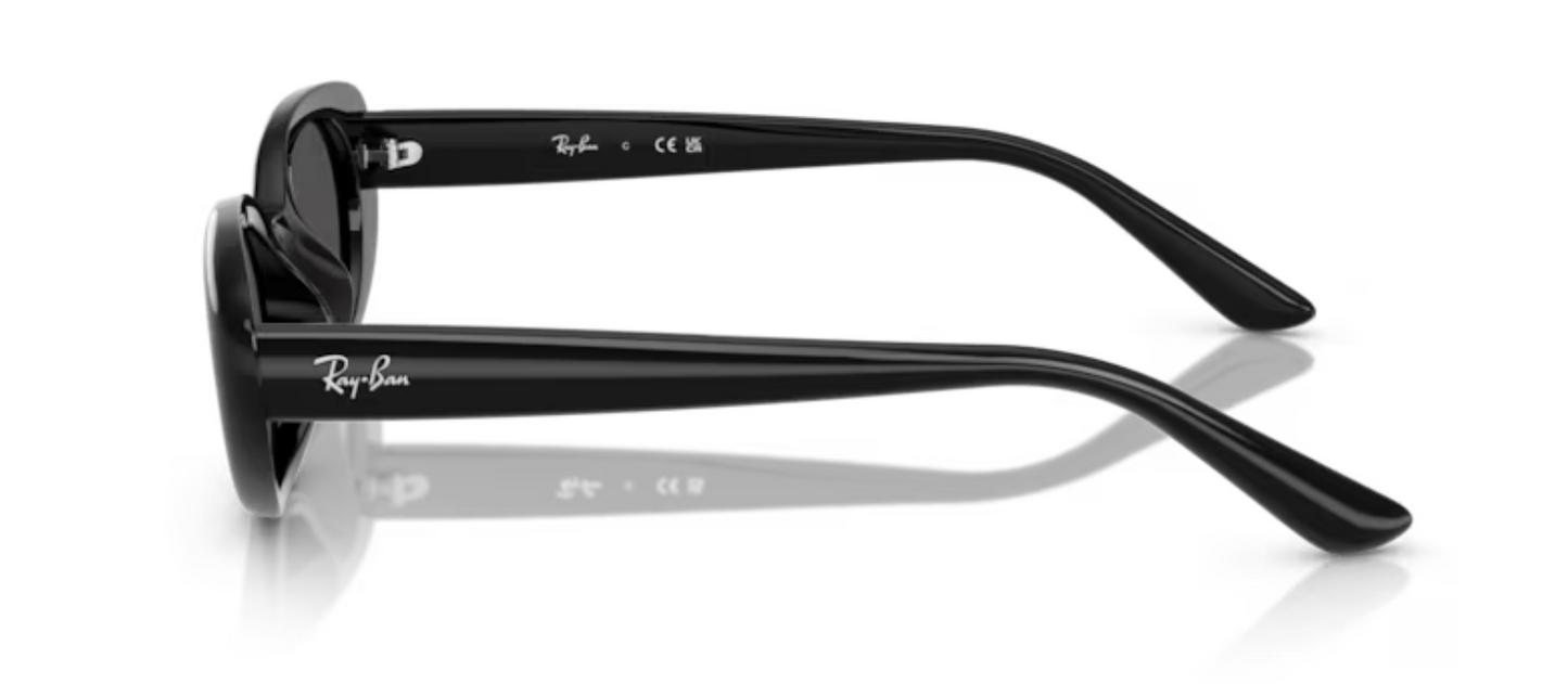 Rayban Black sunglasses with Dark grey tint RB4441