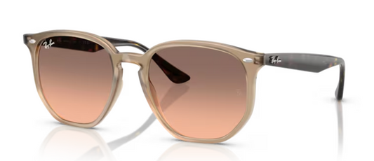 Rayban Iconic shape TurtleDove Sunglasses