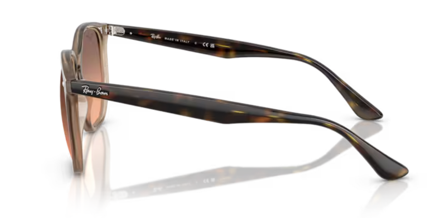 Rayban Iconic shape TurtleDove Sunglasses