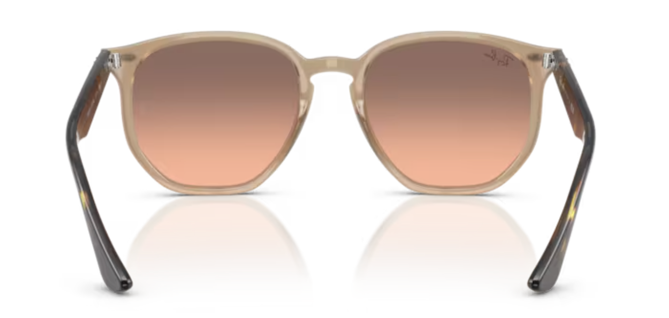Rayban Iconic shape TurtleDove Sunglasses