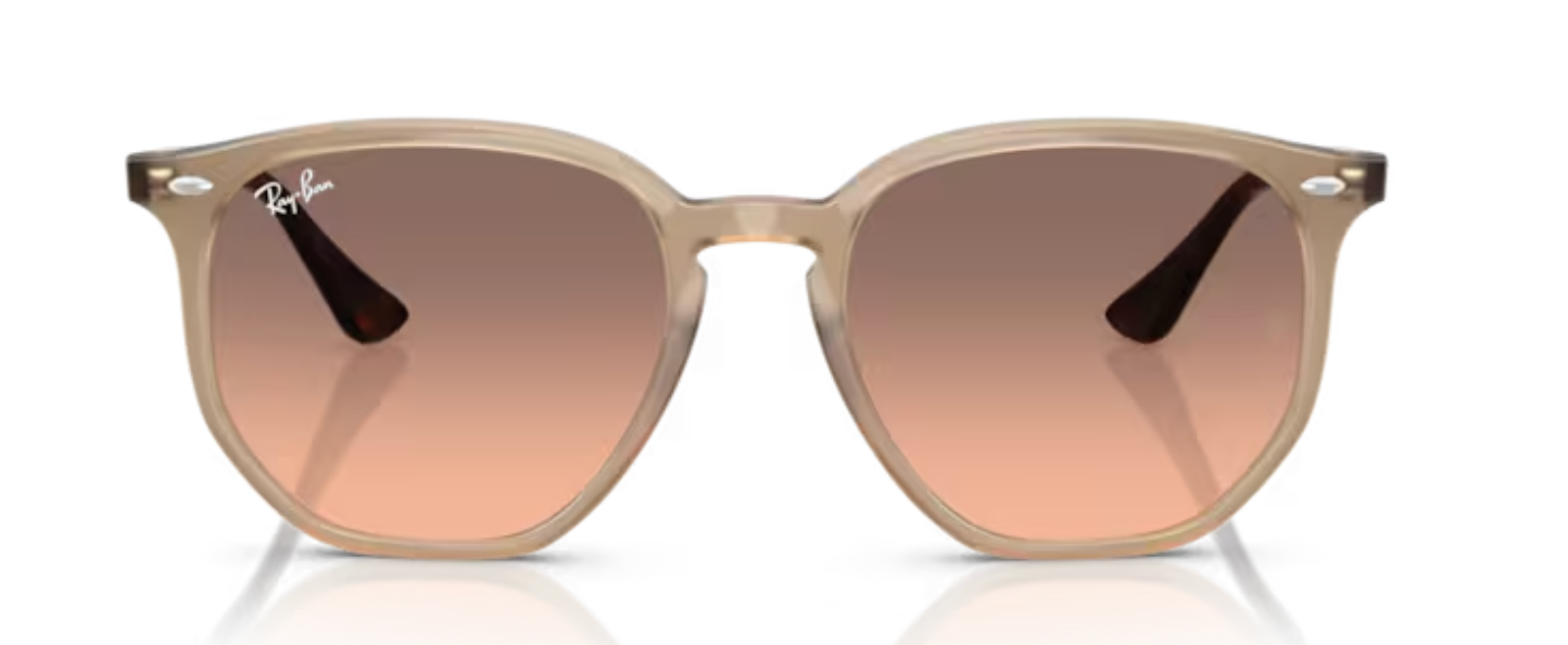 Rayban Iconic shape TurtleDove Sunglasses