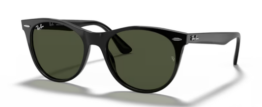 Rayban Wayfarer ii Black Sunglasses