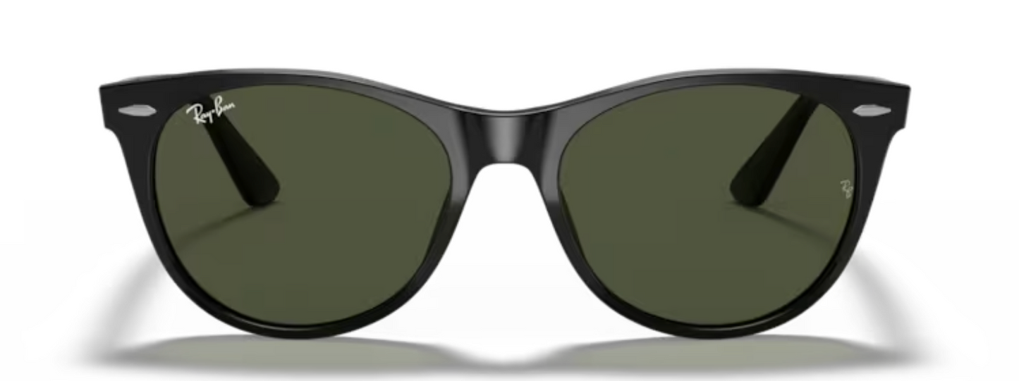 Rayban Wayfarer ii Black Sunglasses