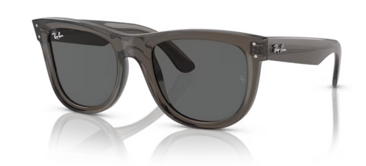 Wayfarer reverse - Transparent dark grey