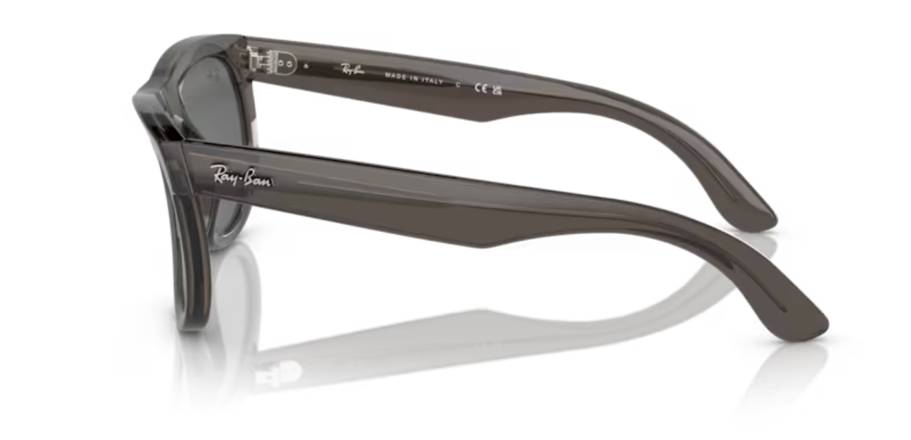 Wayfarer reverse - Transparent dark grey