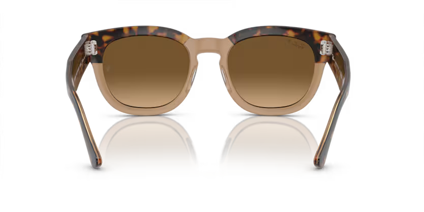 Mega Hawkeye Havana on transparent brown - Polorized