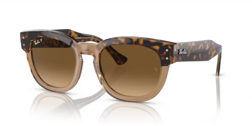 Mega Hawkeye Havana on transparent brown - Polorized