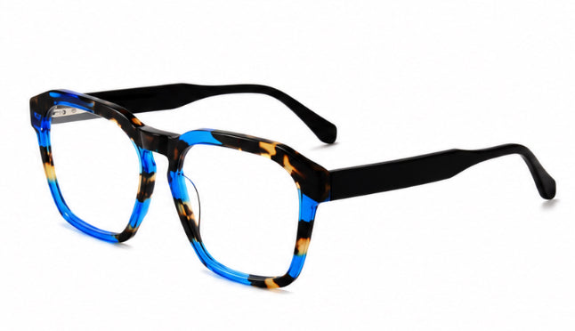 ES8019 Blue Tortoise frames