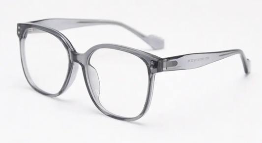 Transparent Grey Oversized Glasses ESW92001