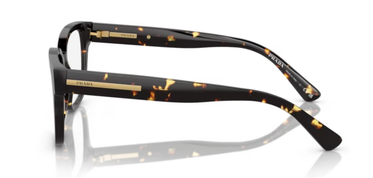 Prada Eyewear PR A09V Havannah/Black Yellow