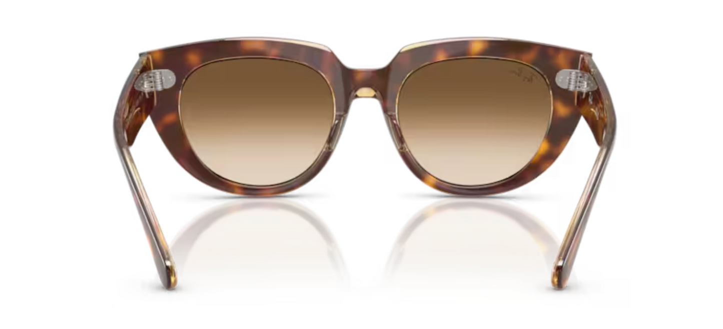Rayban Light Havana Doreen Sunglasses RB2286