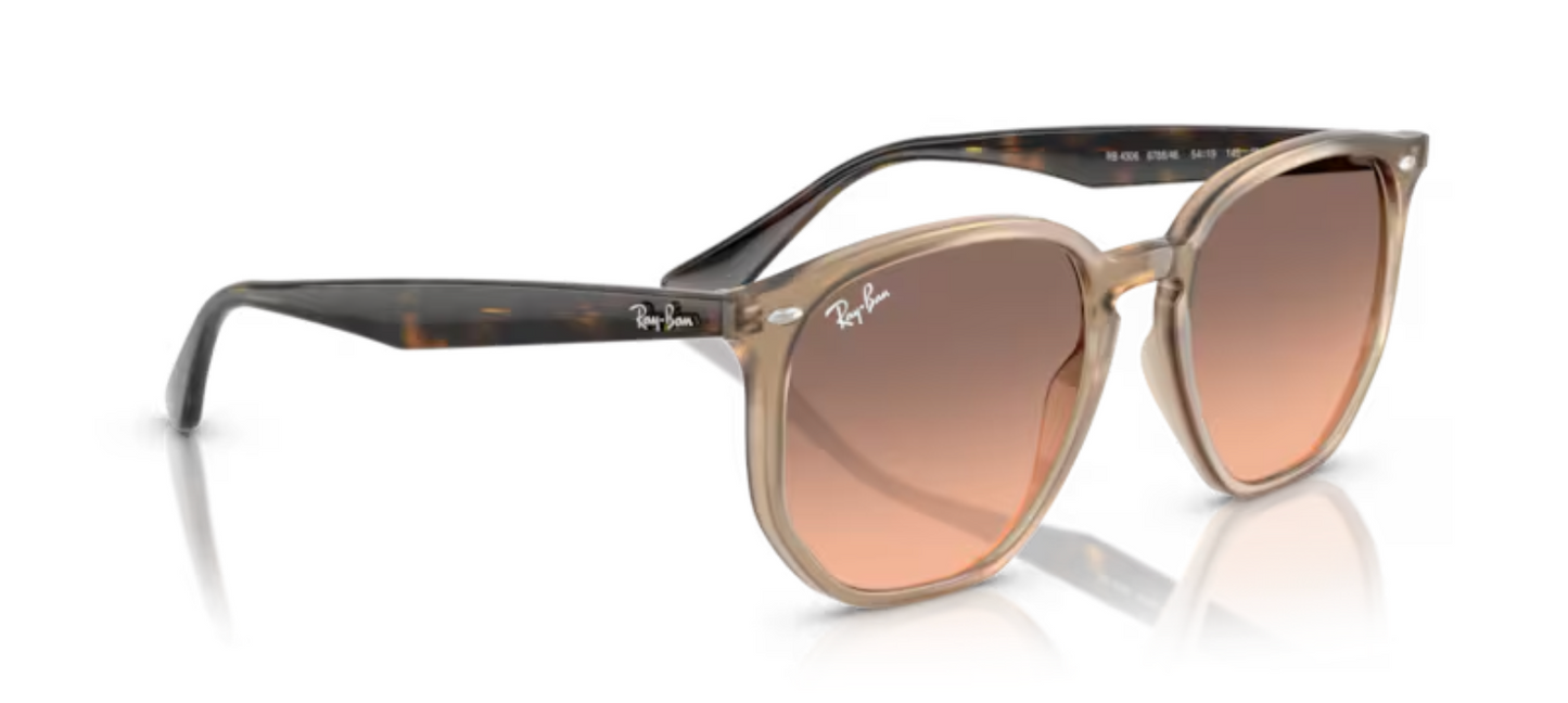 Rayban Iconic shape TurtleDove Sunglasses