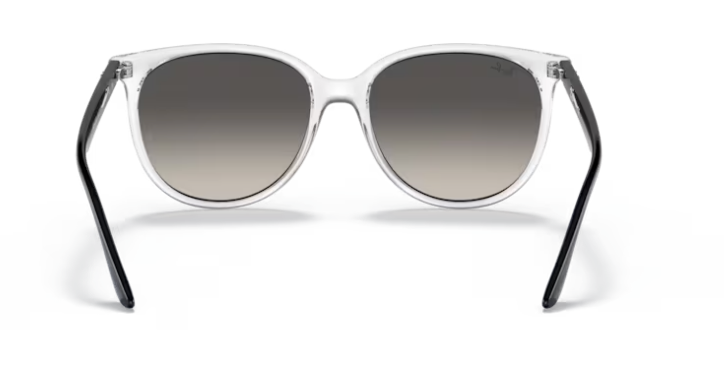 Rayban Transparent Sunglasses