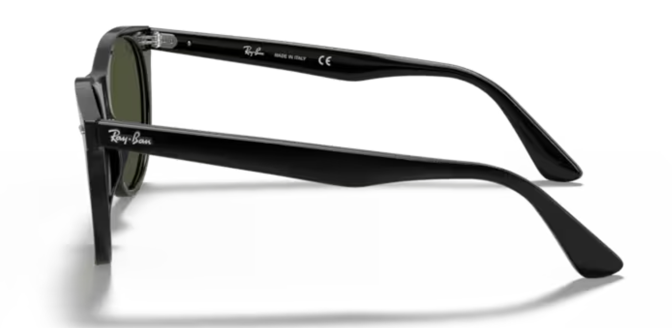 Rayban Wayfarer ii Black Sunglasses